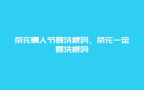 茶花情人节要洗根吗，茶花一定要洗根吗