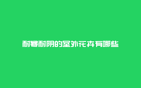 耐寒耐阴的室外花卉有哪些