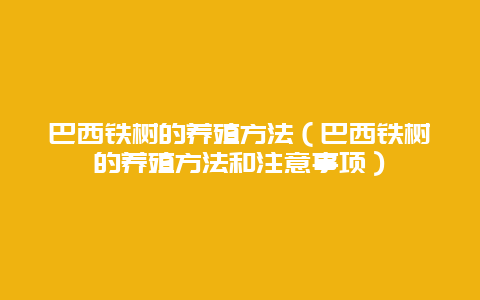 巴西铁树的养殖方法（巴西铁树的养殖方法和注意事项）