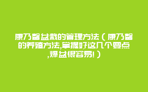 康乃馨盆栽的管理方法（康乃馨的养殖方法,掌握好这几个要点,爆盆很容易!）