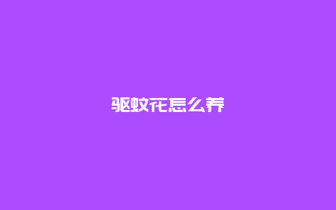 驱蚊花怎么养