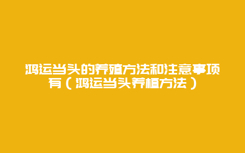 鸿运当头的养殖方法和注意事项有（鸿运当头养植方法）