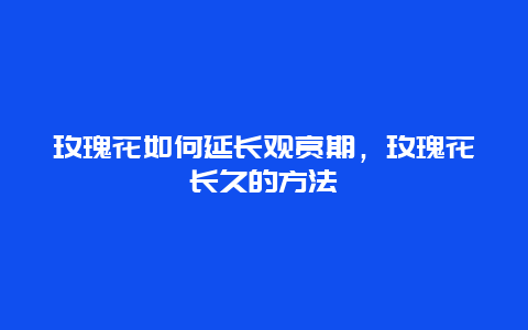 玫瑰花如何延长观赏期，玫瑰花长久的方法