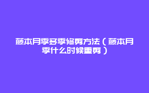 藤本月季多季修剪方法（藤本月季什么时候重剪）