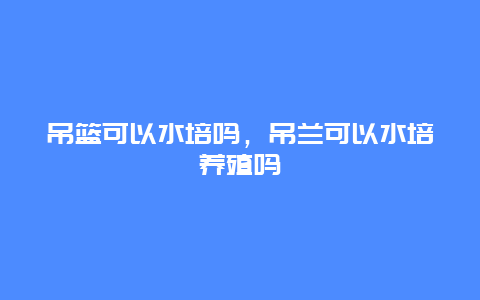 吊篮可以水培吗，吊兰可以水培养殖吗