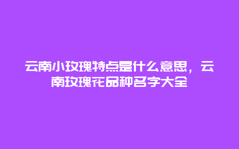 云南小玫瑰特点是什么意思，云南玫瑰花品种名字大全