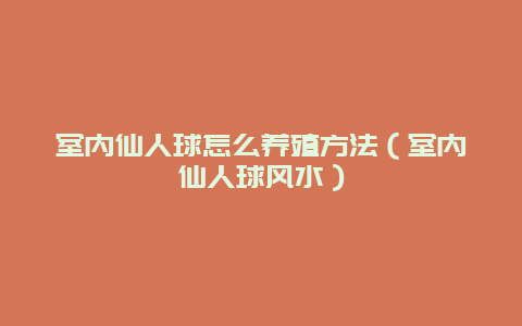 室内仙人球怎么养殖方法（室内仙人球风水）