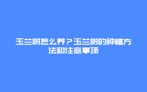 玉兰树怎么养？玉兰树的种植方法和注意事项