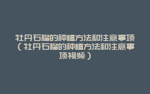 牡丹石榴的种植方法和注意事项（牡丹石榴的种植方法和注意事项视频）