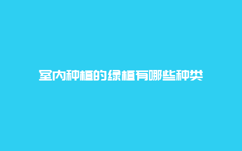 室内种植的绿植有哪些种类