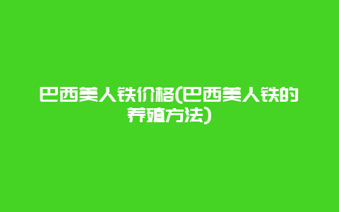 巴西美人铁价格(巴西美人铁的养殖方法)