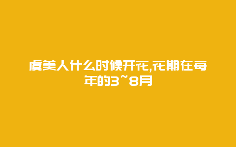 虞美人什么时候开花,花期在每年的3~8月