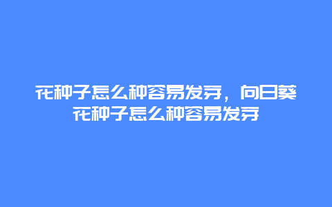 花种子怎么种容易发芽，向日葵花种子怎么种容易发芽