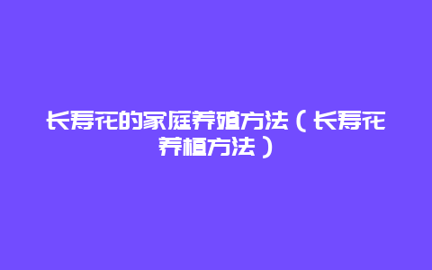 长寿花的家庭养殖方法（长寿花养植方法）