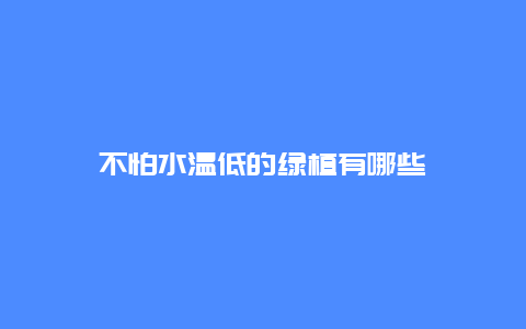 不怕水温低的绿植有哪些