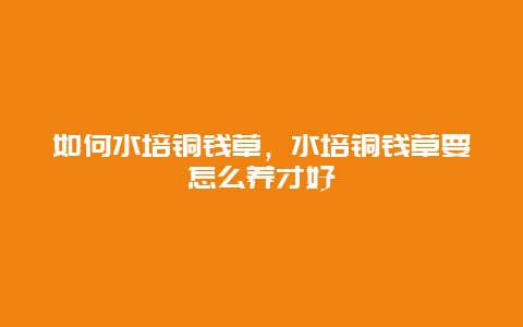 如何水培铜钱草，水培铜钱草要怎么养才好