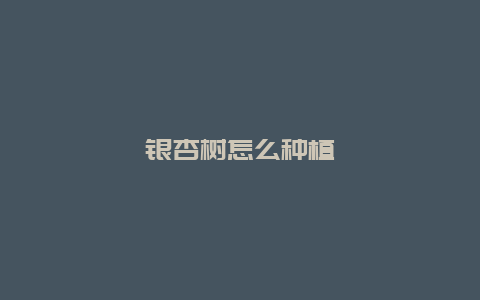 银杏树怎么种植