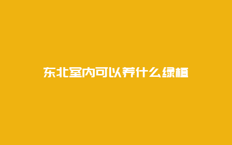 东北室内可以养什么绿植