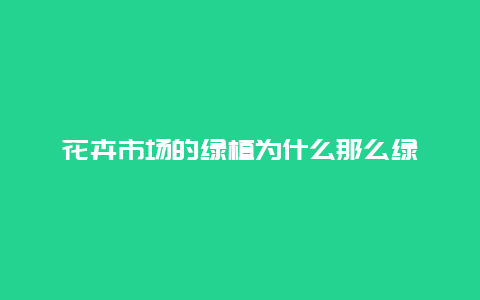 花卉市场的绿植为什么那么绿