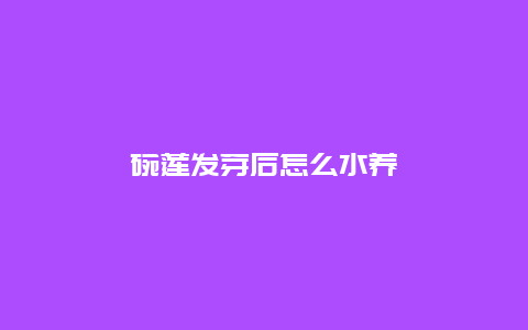 碗莲发芽后怎么水养