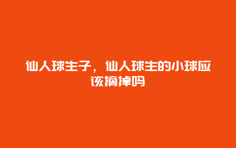 仙人球生子，仙人球生的小球应该摘掉吗