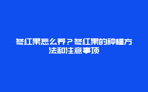 冬红果怎么养？冬红果的种植方法和注意事项