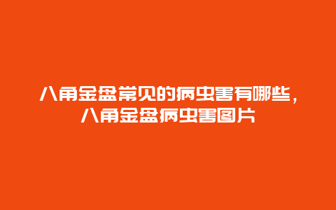 八角金盘常见的病虫害有哪些，八角金盘病虫害图片