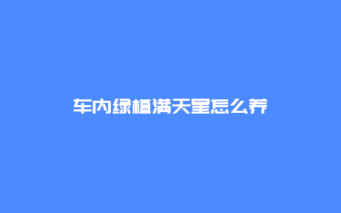 车内绿植满天星怎么养