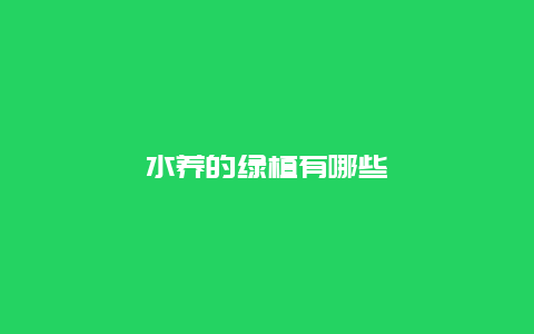 水养的绿植有哪些