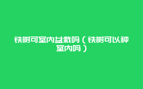 铁树可室内盆栽吗（铁树可以种室内吗）