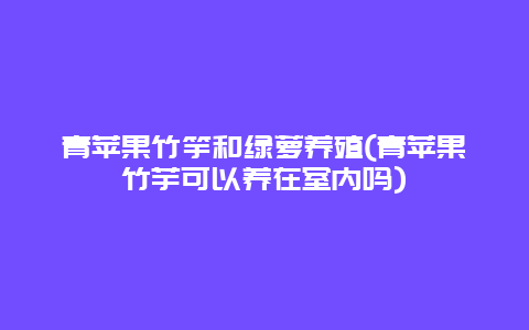 青苹果竹竽和绿萝养殖(青苹果竹芋可以养在室内吗)