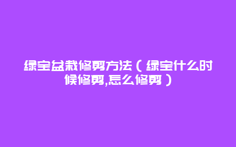 绿宝盆栽修剪方法（绿宝什么时候修剪,怎么修剪）