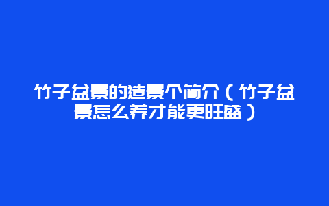 竹子盆景的造景个简介（竹子盆景怎么养才能更旺盛）