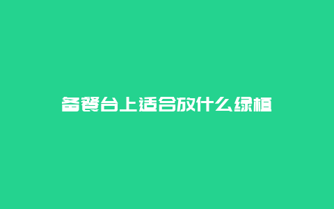 备餐台上适合放什么绿植