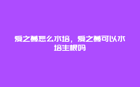 爱之蔓怎么水培，爱之蔓可以水培生根吗