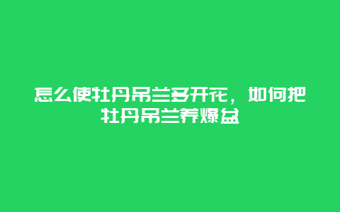 怎么使牡丹吊兰多开花，如何把牡丹吊兰养爆盆