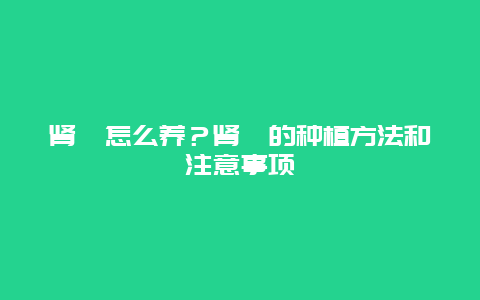 肾蕨怎么养？肾蕨的种植方法和注意事项