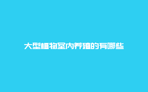 大型植物室内养殖的有哪些