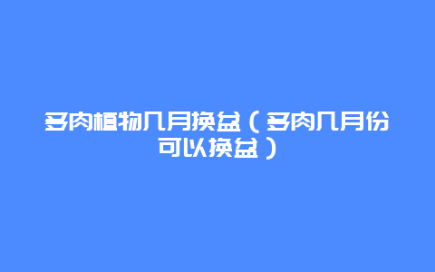 多肉植物几月换盆（多肉几月份可以换盆）