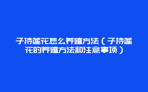 子持莲花怎么养殖方法（子持莲花的养殖方法和注意事项）