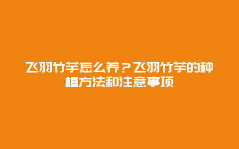 飞羽竹芋怎么养？飞羽竹芋的种植方法和注意事项