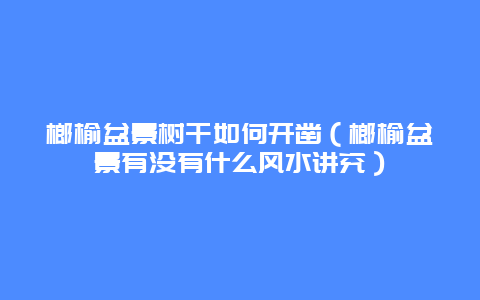 榔榆盆景树干如何开凿（榔榆盆景有没有什么风水讲究）