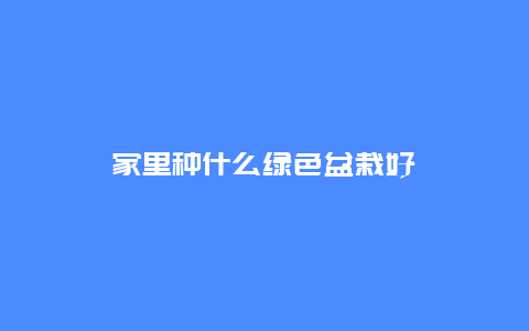 家里种什么绿色盆栽好