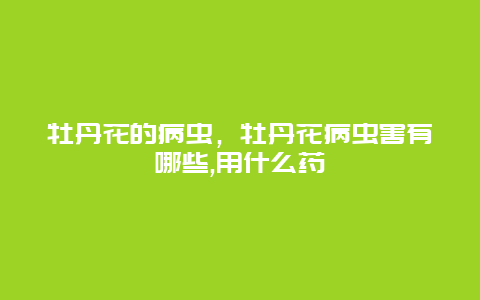 牡丹花的病虫，牡丹花病虫害有哪些,用什么药