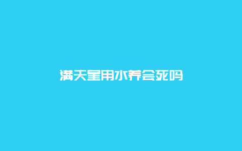 满天星用水养会死吗