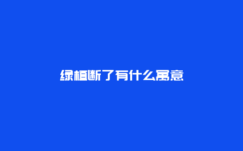 绿植断了有什么寓意