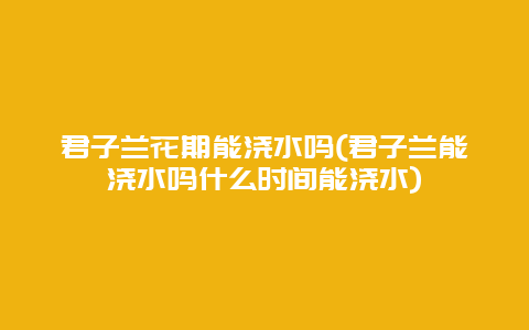 君子兰花期能浇水吗(君子兰能浇水吗什么时间能浇水)