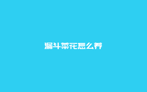 漏斗菜花怎么养