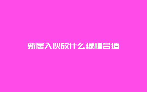 新居入伙放什么绿植合适