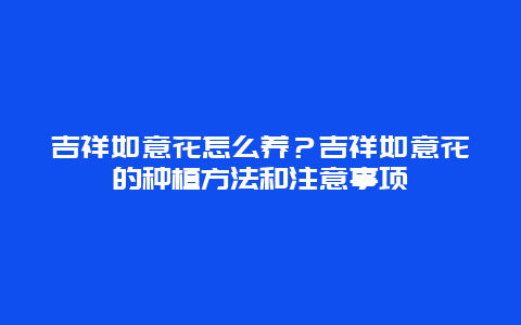 吉祥如意花怎么养？吉祥如意花的种植方法和注意事项